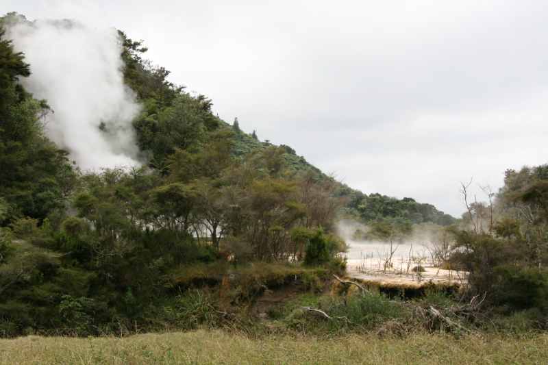 Nieuw-Zeeland 2011 - 0725